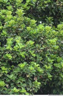 Photo Textures of Nature